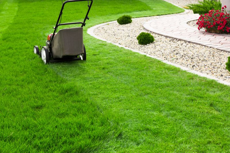 Home Lawn Maintenance