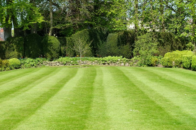 Healthy Lawn Growth