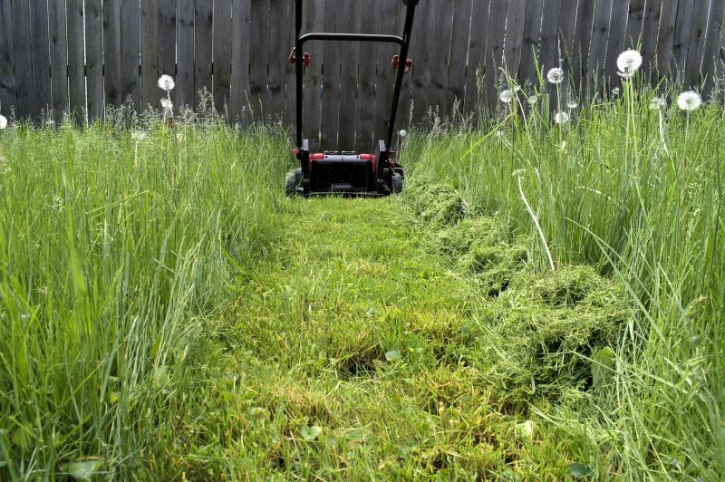 Lawn Mowing Techniques