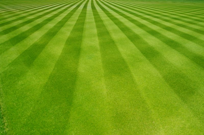 Grass Growth Patterns