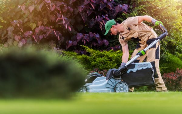 Lawn Care And Maintenance in Abilene