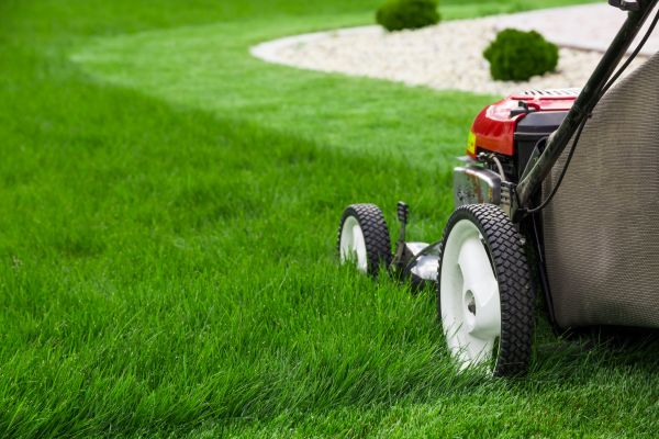 Mowing Service in Abilene