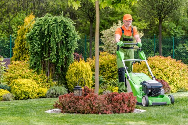 Cost of Yard Service in Abilene