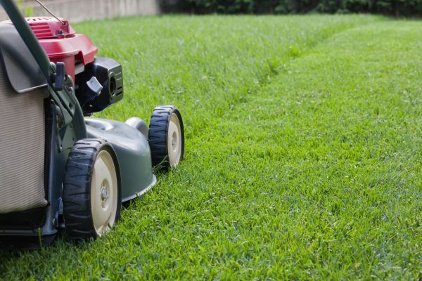 Cost of Residential Lawn Care in Abilene