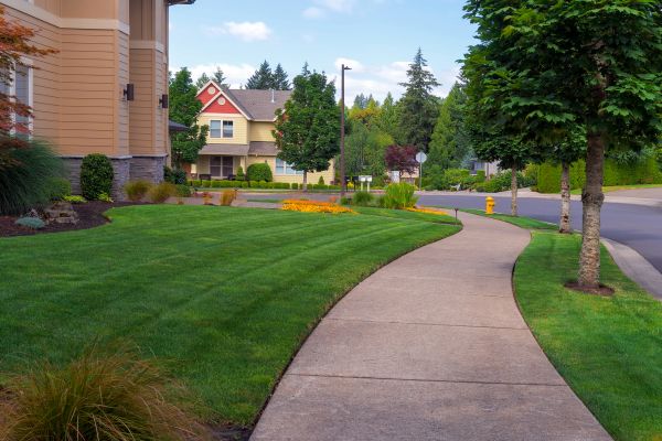 Cost of Home Lawn Maintenance in Abilene
