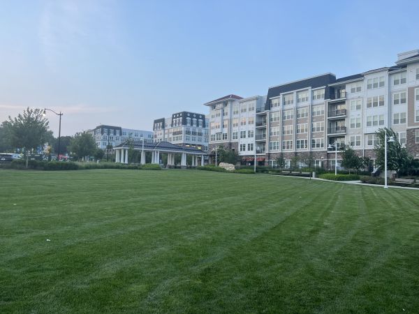 Cost of Urban Lawn Care in Abilene