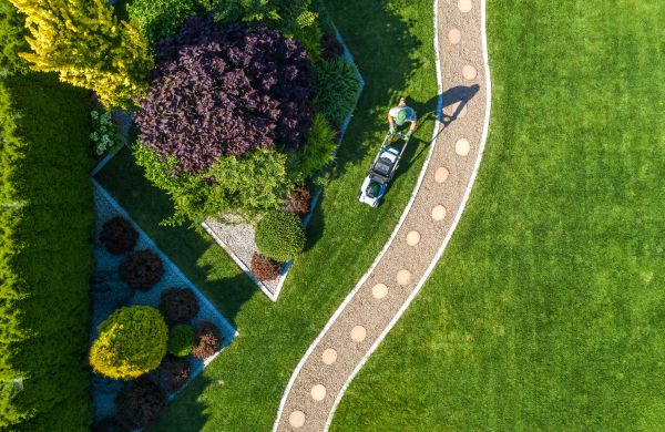 Cost of Mowing And Landscaping in Abilene