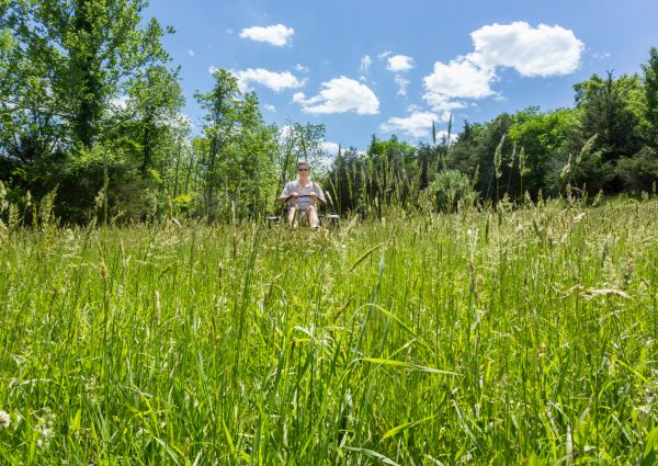 Cost of Long Grass Mowing in Abilene