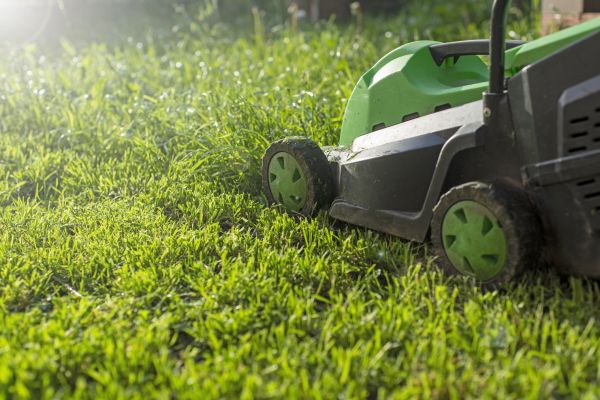 Cost of Lot Mowing in Abilene