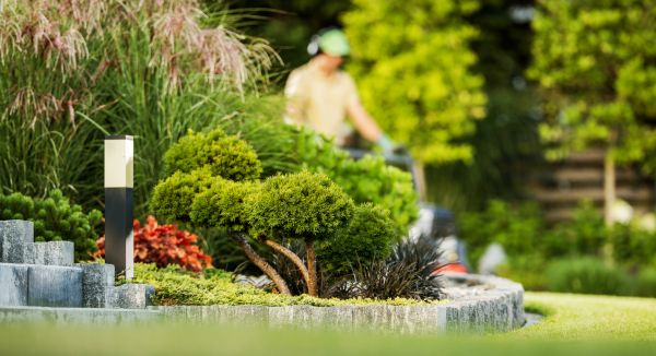 Cost of Residential Yard Maintenance in Abilene
