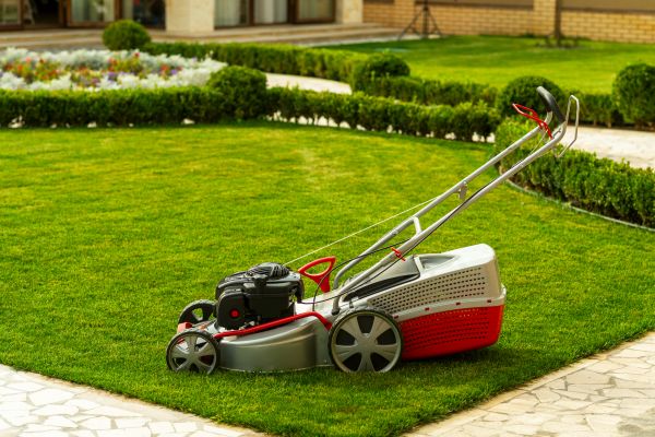 Cost of Business Grass Cutting in Abilene