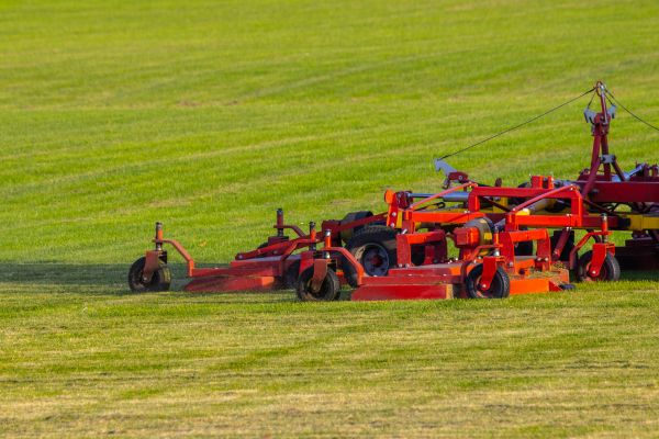 Cost of Industrial Lawn Service in Abilene