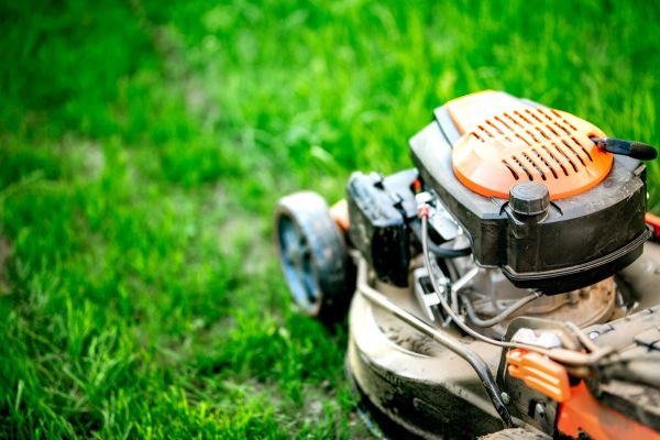 Industrial Grass Trimming