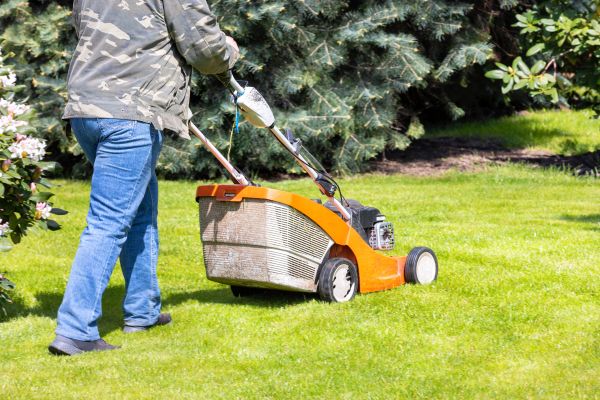Springtime Lawn Care in Abilene