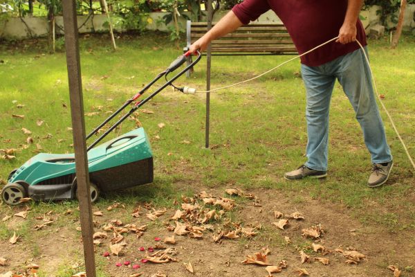 Cost of Leaves Mowing in Abilene