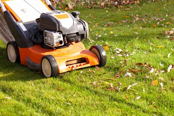 Cost of Fall Mowing in Abilene